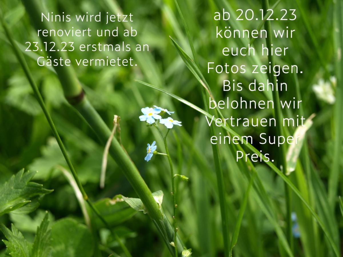 Ninis - Ferienhaus Im Bregenzerwald Эгг Экстерьер фото
